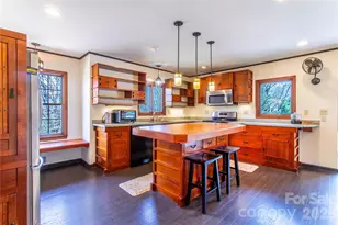 432 Turkey Crk Rd, Leicester, NC 28748 - Photo 6