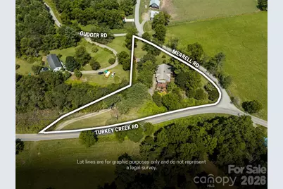 432 Turkey Creek Road, Leicester, NC 28748 - Photo 40