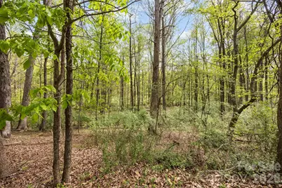 10601 Wildlife Road, Charlotte, NC 28278 - Photo 6