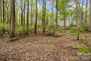 10601 Wildlife Rd, Charlotte, NC 28278 - Photo 10