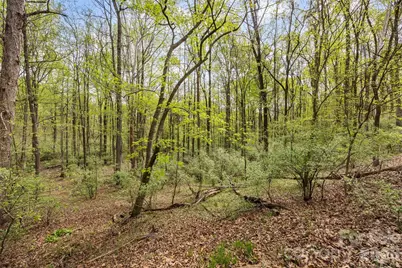 10601 Wildlife Road, Charlotte, NC 28278 - Photo 8