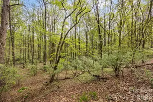 10601 Wildlife Rd, Charlotte, NC 28278 - Photo 8