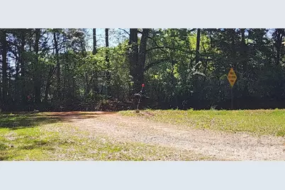 952 W Oak Drive, Rock Hill, SC 29732 - Photo 38