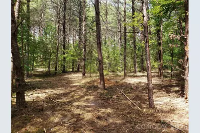 952 W Oak Drive, Rock Hill, SC 29732 - Photo 22