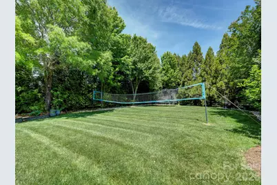 725 Wild Berry Court, Waxhaw, NC 28173 - Photo 4