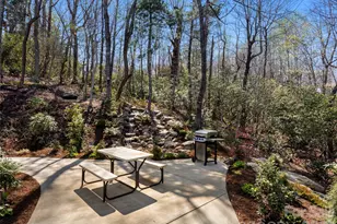 255 Dalhousie Ct, Flat Rock, NC 28731 - Photo 30