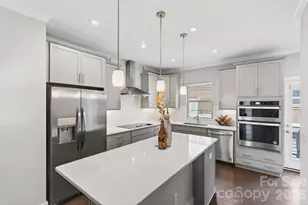 15036 New Amsterdam Ln, Charlotte, NC 28204 - Photo 14