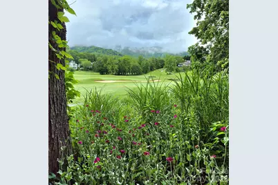 141 Amblers Knoll Road, Weaverville, NC 28787 - Photo 48