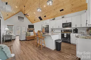 79 Abbey View Rd, Bryson City, NC 28713 - Photo 8