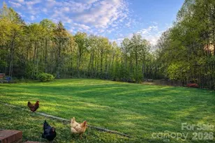 150 Little Creek Dr, Nebo, NC 28761 - Photo 4