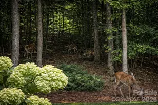 14850 Belleglade Trail, Mint Hill, NC 28227 - Photo 42