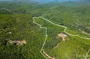 4454 Asheville Hwy, Pisgah Forest, NC 28768 - Photo 48