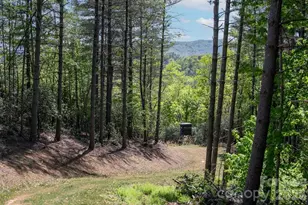 4454 Asheville Hwy, Pisgah Forest, NC 28768 - Photo 42