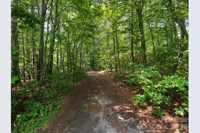 24 Nesbitts Olde Farm Road, Fairview, NC 28730 - Photo 44