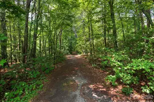 24 Nesbitts Olde Farm Rd, Fairview, NC 28730 - Photo 44