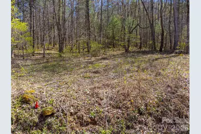 306 Cedar Creek Farm Road, Tuckasegee, NC 28783 - Photo 6