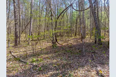 306 Cedar Creek Farm Road, Tuckasegee, NC 28783 - Photo 8