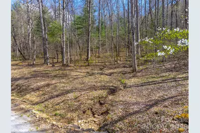 306 Cedar Creek Farm Road, Tuckasegee, NC 28783 - Photo 2
