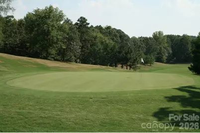 19011 Kailua Circle, Tega Cay, SC 29708 - Photo 8