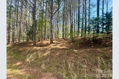 430 Clearwater Parkway, Rutherfordton, NC 28139 - Photo 4