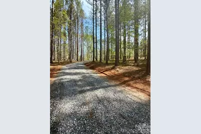 430 Clearwater Parkway, Rutherfordton, NC 28139 - Photo 6