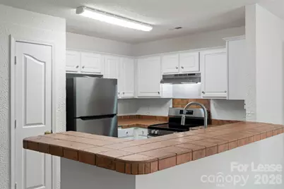 15505 Dehavilland Drive, Charlotte, NC 28278 - Photo 12