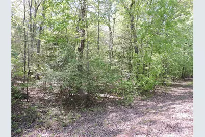 293 Manchester Road, Mount Gilead, NC 27306 - Photo 4