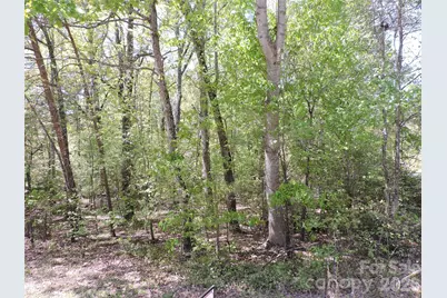 293 Manchester Road, Mount Gilead, NC 27306 - Photo 1