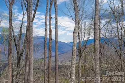 51 Summit Road, Swannanoa, NC 28778 - Photo 16