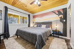 3138 Buffalo Creek Rd, Lake Lure, NC 28746 - Photo 12