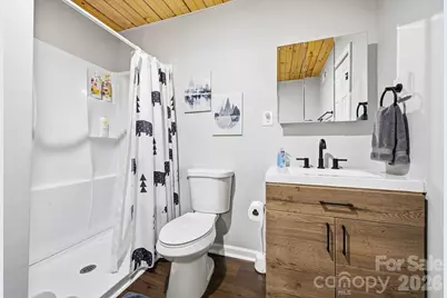 3138 Buffalo Creek Road, Lake Lure, NC 28746 - Photo 16