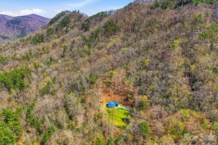 3138 Buffalo Creek Rd, Lake Lure, NC 28746 - Photo 36