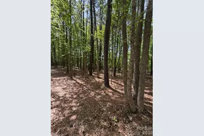 00 Truesdale Drive, Great Falls, SC 29055 - Photo 4