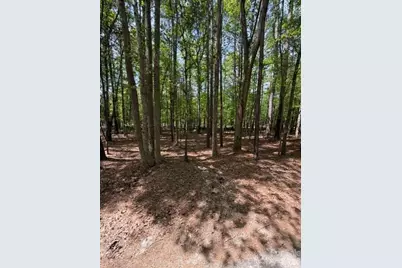 00 Truesdale Drive, Great Falls, SC 29055 - Photo 1