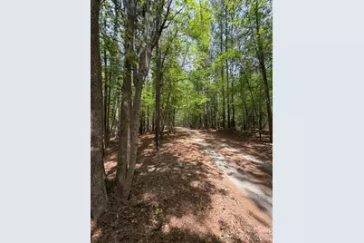 00 Truesdale Drive, Great Falls, SC 29055 - Photo 2