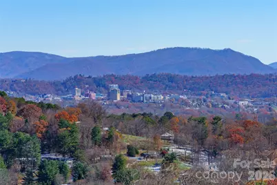 41 Ben Lippen School Road, Asheville, NC 28806 - Photo 4