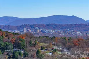 41 Ben Lippen School Rd, Asheville, NC 28806 - Photo 4