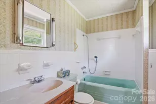 160 Denton St, Columbus, NC 28722 - Photo 8