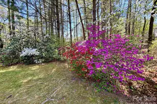 3011 N Essex Ct, Hendersonville, NC 28791 - Photo 6