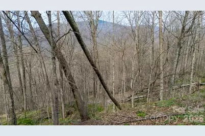 000 Tyler Lane, Bakersville, NC 28705 - Photo 4