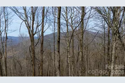 000 Tyler Lane, Bakersville, NC 28705 - Photo 2