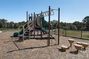 10133 Dancing Crane Wy, Charlotte, NC 28215 - Photo 38