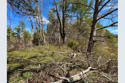 000 Mitchell Avenue, Bakersville, NC 28705 - Photo 8