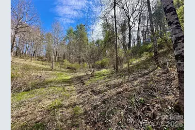 000 Mitchell Avenue, Bakersville, NC 28705 - Photo 4