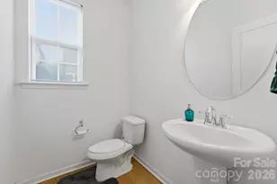 4418 Forest Gate Ln, Charlotte, NC 28270 - Photo 20