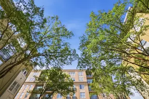 1320 Fillmore Ave, Charlotte, NC 28203 - Photo 6