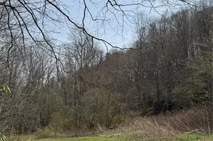 63 Jeffrey Franklin Ln, Newland, NC 28657 - Photo 4