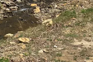 63 Jeffrey Franklin Ln, Newland, NC 28657 - Photo 8