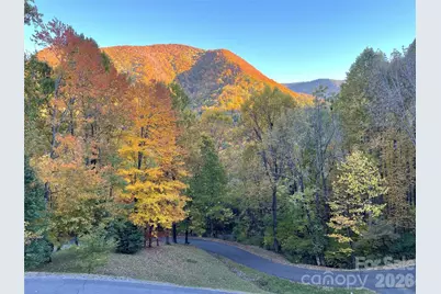 302 Davy Crockett Drive, Maggie Valley, NC 28751 - Photo 46