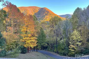 302 Davy Crockett Dr, Maggie Valley, NC 28751 - Photo 46